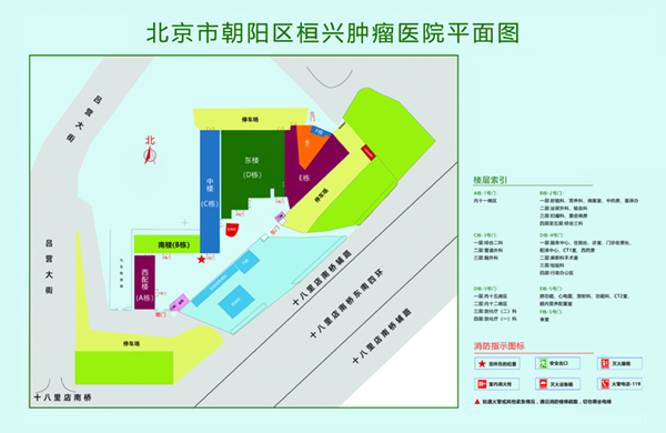 屄屄免费首页北京市朝阳区桓兴肿瘤医院平面图